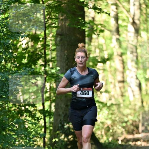 06.10.2024 - Bramfelder Halbmarathon 2024 Dr. Thomas Lammeyer http://msf.ph/oto/7337160 06.10.2024 10:20:03 Laufen 460 meine-sportfotos.de