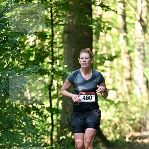 06.10.2024 - Bramfelder Halbmarathon 2024 Dr. Thomas Lammeyer http://msf.ph/oto/7337161 06.10.2024 10:20:03 Laufen 460 meine-sportfotos.de