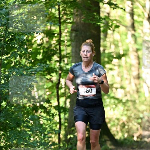 06.10.2024 - Bramfelder Halbmarathon 2024 Dr. Thomas Lammeyer http://msf.ph/oto/7337162 06.10.2024 10:20:03 Laufen 60 meine-sportfotos.de