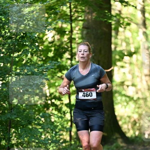 06.10.2024 - Bramfelder Halbmarathon 2024 Dr. Thomas Lammeyer http://msf.ph/oto/7337164 06.10.2024 10:20:03 Laufen 460 meine-sportfotos.de