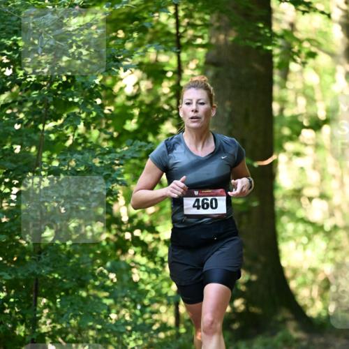 06.10.2024 - Bramfelder Halbmarathon 2024 Dr. Thomas Lammeyer http://msf.ph/oto/7337165 06.10.2024 10:20:03 Laufen 460 meine-sportfotos.de