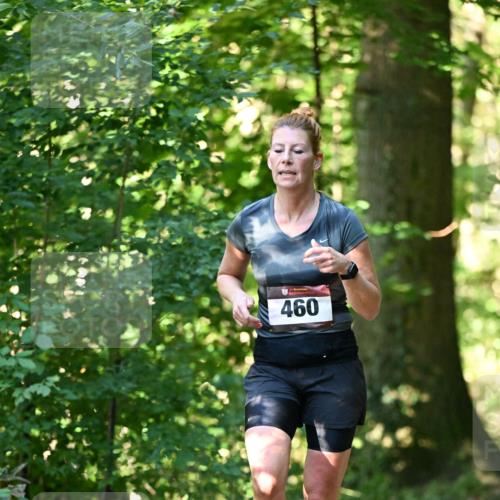 06.10.2024 - Bramfelder Halbmarathon 2024 Dr. Thomas Lammeyer http://msf.ph/oto/7337167 06.10.2024 10:20:04 Laufen 460 meine-sportfotos.de