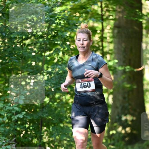06.10.2024 - Bramfelder Halbmarathon 2024 Dr. Thomas Lammeyer http://msf.ph/oto/7337168 06.10.2024 10:20:04 Laufen 460 meine-sportfotos.de