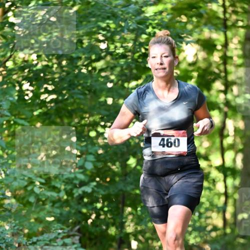 06.10.2024 - Bramfelder Halbmarathon 2024 Dr. Thomas Lammeyer http://msf.ph/oto/7337170 06.10.2024 10:20:04 Laufen 460 meine-sportfotos.de