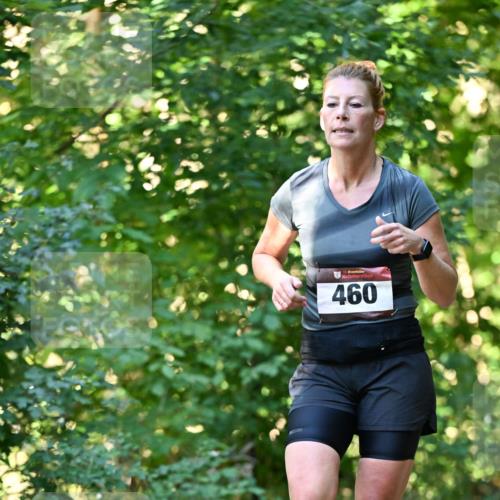 06.10.2024 - Bramfelder Halbmarathon 2024 Dr. Thomas Lammeyer http://msf.ph/oto/7337172 06.10.2024 10:20:04 Laufen 33, 460 meine-sportfotos.de