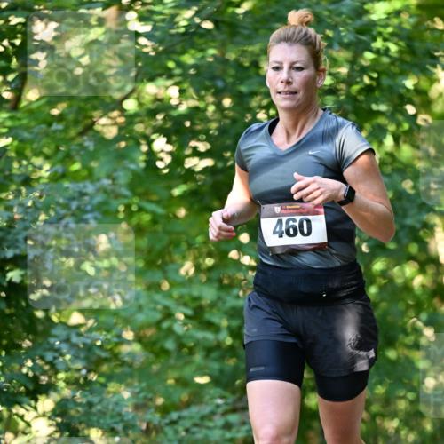 06.10.2024 - Bramfelder Halbmarathon 2024 Dr. Thomas Lammeyer http://msf.ph/oto/7337173 06.10.2024 10:20:05 Laufen 33, 460 meine-sportfotos.de