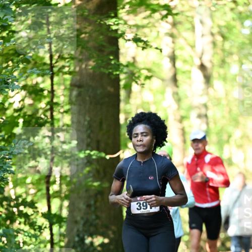 06.10.2024 - Bramfelder Halbmarathon 2024 Dr. Thomas Lammeyer http://msf.ph/oto/7337261 06.10.2024 10:20:33 Laufen 39 meine-sportfotos.de