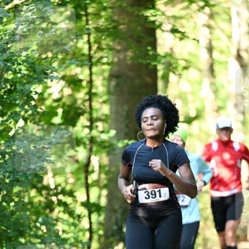 06.10.2024 - Bramfelder Halbmarathon 2024 Dr. Thomas Lammeyer http://msf.ph/oto/7337264 06.10.2024 10:20:33 Laufen 391 meine-sportfotos.de