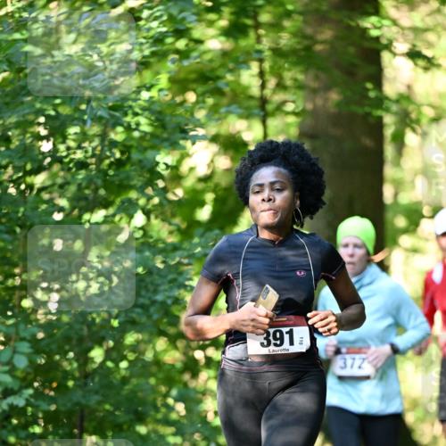 06.10.2024 - Bramfelder Halbmarathon 2024 Dr. Thomas Lammeyer http://msf.ph/oto/7337268 06.10.2024 10:20:34 Laufen 391, 372 meine-sportfotos.de