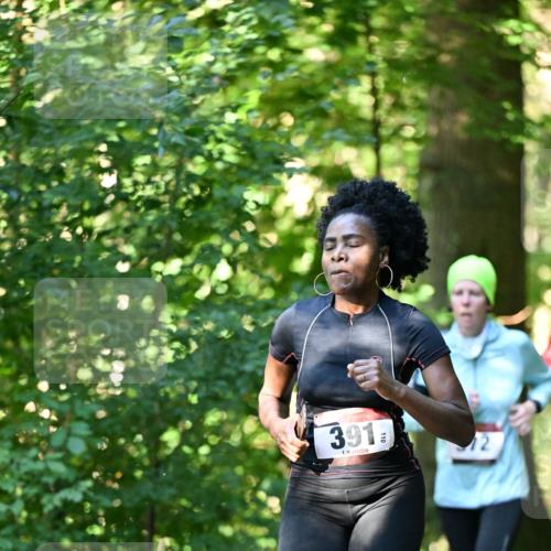 06.10.2024 - Bramfelder Halbmarathon 2024 Dr. Thomas Lammeyer http://msf.ph/oto/7337269 06.10.2024 10:20:34 Laufen 391, 12 meine-sportfotos.de