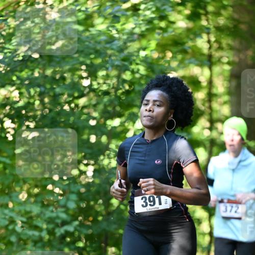 06.10.2024 - Bramfelder Halbmarathon 2024 Dr. Thomas Lammeyer http://msf.ph/oto/7337271 06.10.2024 10:20:34 Laufen 110, 391, 372 meine-sportfotos.de