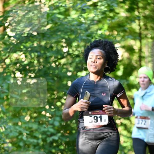 06.10.2024 - Bramfelder Halbmarathon 2024 Dr. Thomas Lammeyer http://msf.ph/oto/7337272 06.10.2024 10:20:34 Laufen 110, 691, 372 meine-sportfotos.de