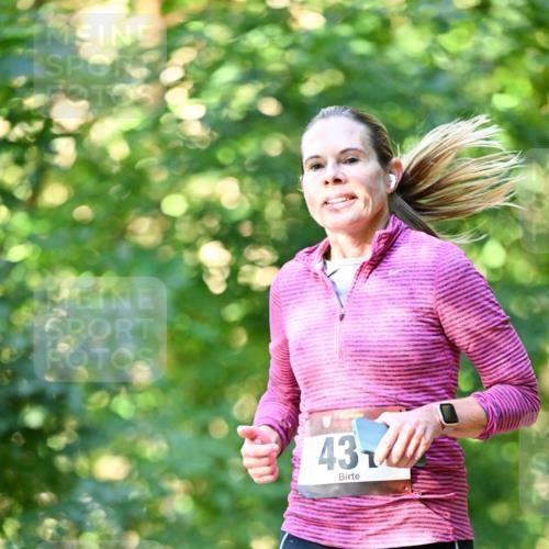 06.10.2024 - Bramfelder Halbmarathon 2024 Dr. Thomas Lammeyer http://msf.ph/oto/7337370 06.10.2024 10:21:04 Laufen 43 meine-sportfotos.de