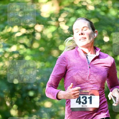 06.10.2024 - Bramfelder Halbmarathon 2024 Dr. Thomas Lammeyer http://msf.ph/oto/7337372 06.10.2024 10:21:04 Laufen 33, 431 meine-sportfotos.de