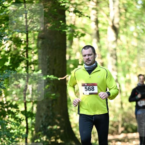 06.10.2024 - Bramfelder Halbmarathon 2024 Dr. Thomas Lammeyer http://msf.ph/oto/7337427 06.10.2024 10:21:17 Laufen 568 meine-sportfotos.de