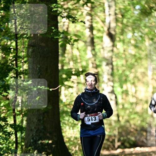 06.10.2024 - Bramfelder Halbmarathon 2024 Dr. Thomas Lammeyer http://msf.ph/oto/7337437 06.10.2024 10:21:20 Laufen 513 meine-sportfotos.de
