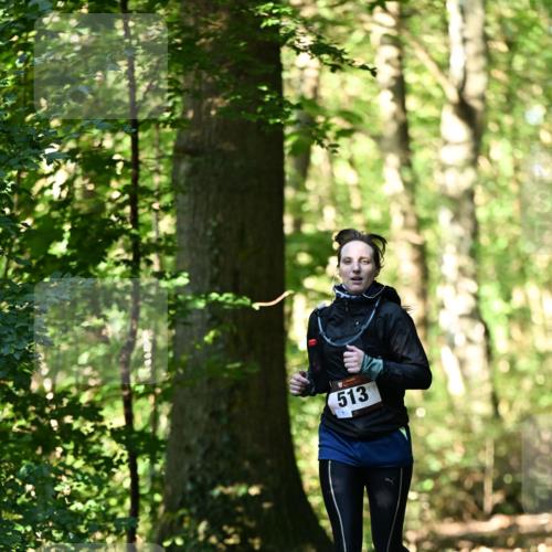 06.10.2024 - Bramfelder Halbmarathon 2024 Dr. Thomas Lammeyer http://msf.ph/oto/7337439 06.10.2024 10:21:20 Laufen 513 meine-sportfotos.de