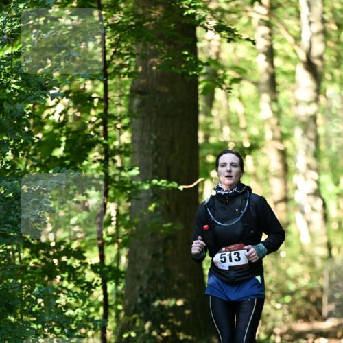 06.10.2024 - Bramfelder Halbmarathon 2024 Dr. Thomas Lammeyer http://msf.ph/oto/7337440 06.10.2024 10:21:20 Laufen 513 meine-sportfotos.de