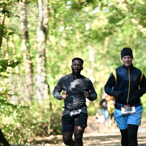 06.10.2024 - Bramfelder Halbmarathon 2024 Dr. Thomas Lammeyer http://msf.ph/oto/7337443 06.10.2024 10:21:21 Laufen 388 meine-sportfotos.de