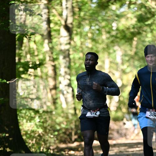 06.10.2024 - Bramfelder Halbmarathon 2024 Dr. Thomas Lammeyer http://msf.ph/oto/7337445 06.10.2024 10:21:21 Laufen 388 meine-sportfotos.de