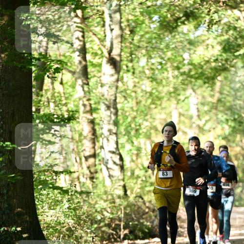 06.10.2024 - Bramfelder Halbmarathon 2024 Dr. Thomas Lammeyer http://msf.ph/oto/7337462 06.10.2024 10:21:30 Laufen 83, 369, 10, 456 meine-sportfotos.de