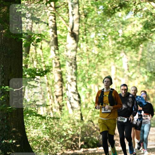 06.10.2024 - Bramfelder Halbmarathon 2024 Dr. Thomas Lammeyer http://msf.ph/oto/7337463 06.10.2024 10:21:30 Laufen 85, 369, 456 meine-sportfotos.de
