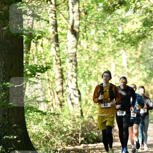 06.10.2024 - Bramfelder Halbmarathon 2024 Dr. Thomas Lammeyer http://msf.ph/oto/7337464 06.10.2024 10:21:30 Laufen 83, 369, 40, 56 meine-sportfotos.de