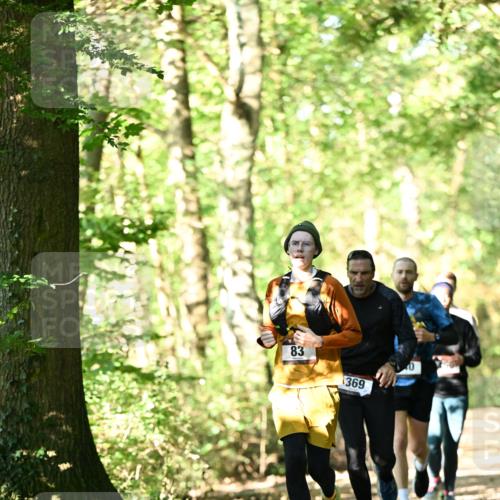 06.10.2024 - Bramfelder Halbmarathon 2024 Dr. Thomas Lammeyer http://msf.ph/oto/7337474 06.10.2024 10:21:32 Laufen 83, 369 meine-sportfotos.de
