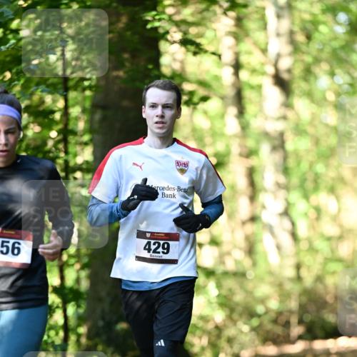 06.10.2024 - Bramfelder Halbmarathon 2024 Dr. Thomas Lammeyer http://msf.ph/oto/7337499 06.10.2024 10:21:39 Laufen 56, 429 meine-sportfotos.de