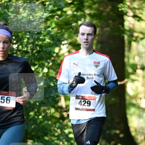 06.10.2024 - Bramfelder Halbmarathon 2024 Dr. Thomas Lammeyer http://msf.ph/oto/7337504 06.10.2024 10:21:39 Laufen 56, 429 meine-sportfotos.de