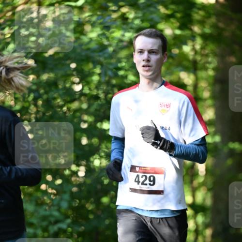 06.10.2024 - Bramfelder Halbmarathon 2024 Dr. Thomas Lammeyer http://msf.ph/oto/7337507 06.10.2024 10:21:40 Laufen 429 meine-sportfotos.de