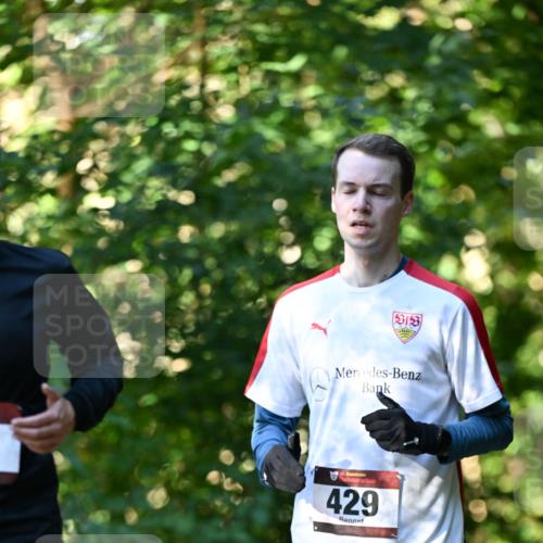 06.10.2024 - Bramfelder Halbmarathon 2024 Dr. Thomas Lammeyer http://msf.ph/oto/7337509 06.10.2024 10:21:40 Laufen 429 meine-sportfotos.de