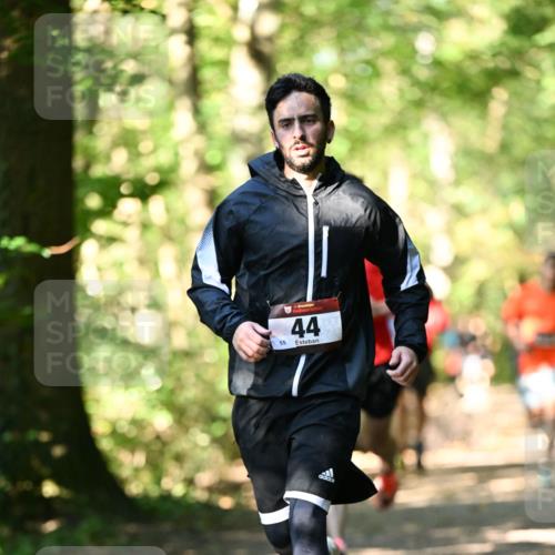 06.10.2024 - Bramfelder Halbmarathon 2024 Dr. Thomas Lammeyer http://msf.ph/oto/7337519 06.10.2024 10:21:57 Laufen 55, 44 meine-sportfotos.de