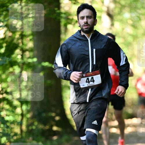 06.10.2024 - Bramfelder Halbmarathon 2024 Dr. Thomas Lammeyer http://msf.ph/oto/7337524 06.10.2024 10:21:58 Laufen 55, 33, 44 meine-sportfotos.de