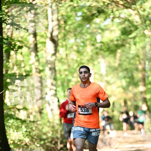 06.10.2024 - Bramfelder Halbmarathon 2024 Dr. Thomas Lammeyer http://msf.ph/oto/7337535 06.10.2024 10:22:00 Laufen 538 meine-sportfotos.de