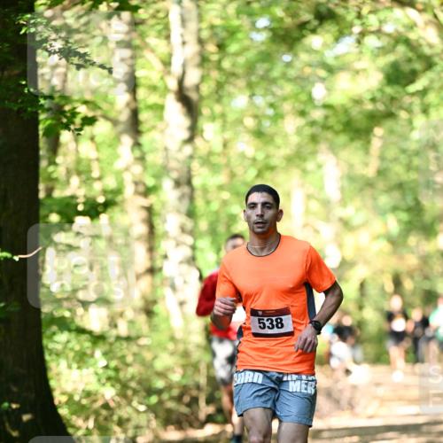 06.10.2024 - Bramfelder Halbmarathon 2024 Dr. Thomas Lammeyer http://msf.ph/oto/7337536 06.10.2024 10:22:00 Laufen 538 meine-sportfotos.de