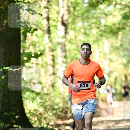 06.10.2024 - Bramfelder Halbmarathon 2024 Dr. Thomas Lammeyer http://msf.ph/oto/7337538 06.10.2024 10:22:01 Laufen 538 meine-sportfotos.de