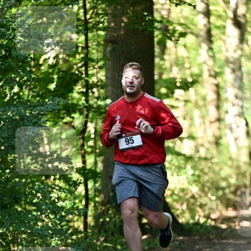 06.10.2024 - Bramfelder Halbmarathon 2024 Dr. Thomas Lammeyer http://msf.ph/oto/7337553 06.10.2024 10:22:05 Laufen 95 meine-sportfotos.de