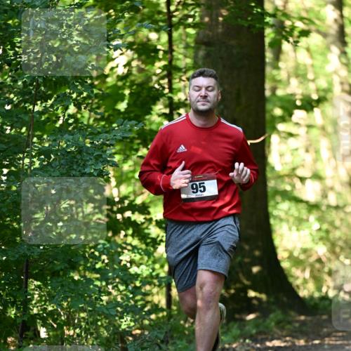 06.10.2024 - Bramfelder Halbmarathon 2024 Dr. Thomas Lammeyer http://msf.ph/oto/7337556 06.10.2024 10:22:05 Laufen 95 meine-sportfotos.de