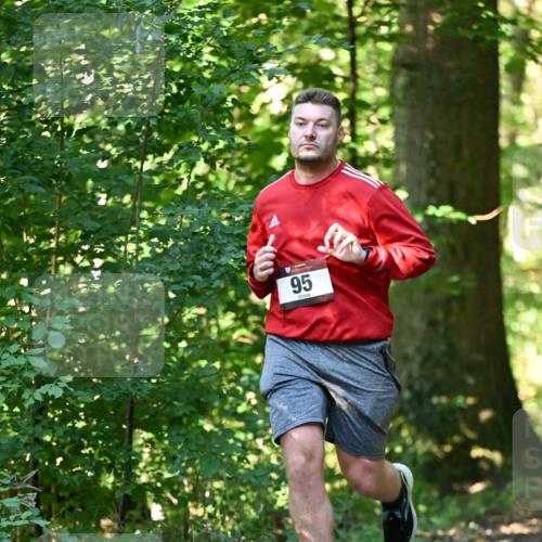 06.10.2024 - Bramfelder Halbmarathon 2024 Dr. Thomas Lammeyer http://msf.ph/oto/7337559 06.10.2024 10:22:06 Laufen 95 meine-sportfotos.de
