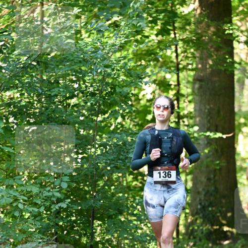 06.10.2024 - Bramfelder Halbmarathon 2024 Dr. Thomas Lammeyer http://msf.ph/oto/7337615 06.10.2024 10:22:19 Laufen 136 meine-sportfotos.de