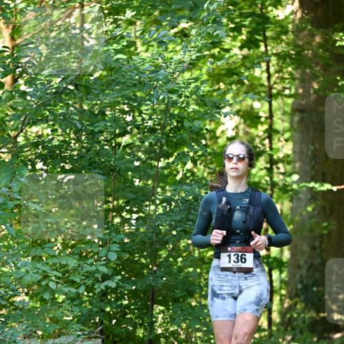 06.10.2024 - Bramfelder Halbmarathon 2024 Dr. Thomas Lammeyer http://msf.ph/oto/7337616 06.10.2024 10:22:20 Laufen 136 meine-sportfotos.de