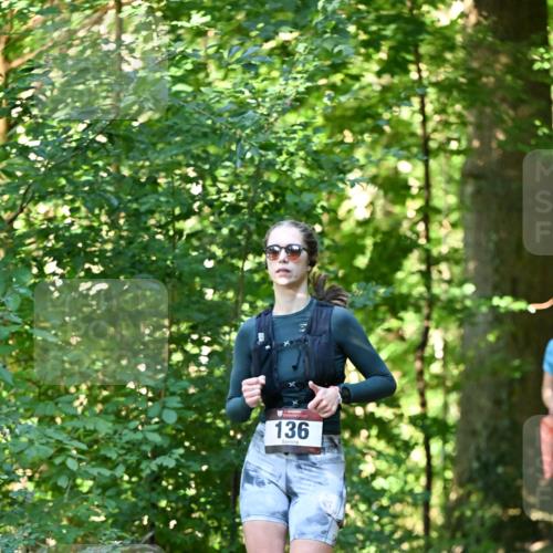 06.10.2024 - Bramfelder Halbmarathon 2024 Dr. Thomas Lammeyer http://msf.ph/oto/7337619 06.10.2024 10:22:20 Laufen 136 meine-sportfotos.de
