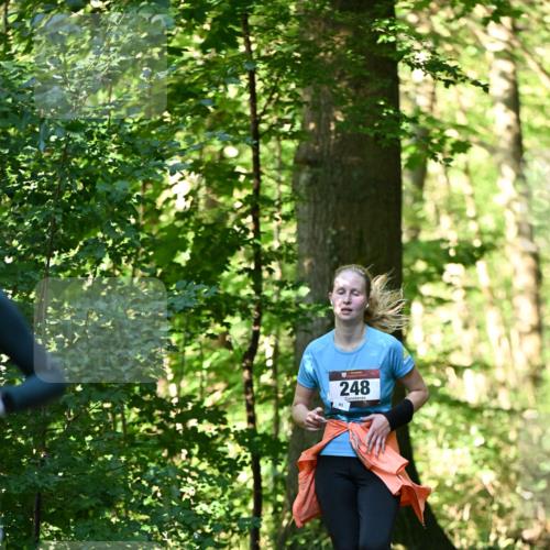 06.10.2024 - Bramfelder Halbmarathon 2024 Dr. Thomas Lammeyer http://msf.ph/oto/7337620 06.10.2024 10:22:21 Laufen 248, 83 meine-sportfotos.de