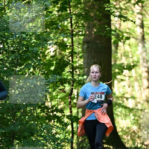 06.10.2024 - Bramfelder Halbmarathon 2024 Dr. Thomas Lammeyer http://msf.ph/oto/7337621 06.10.2024 10:22:21 Laufen 30, 248, 83 meine-sportfotos.de