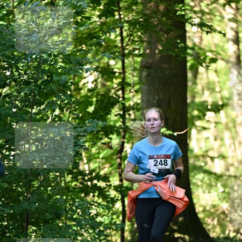 06.10.2024 - Bramfelder Halbmarathon 2024 Dr. Thomas Lammeyer http://msf.ph/oto/7337622 06.10.2024 10:22:21 Laufen 248 meine-sportfotos.de