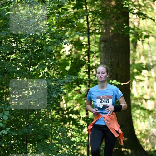 06.10.2024 - Bramfelder Halbmarathon 2024 Dr. Thomas Lammeyer http://msf.ph/oto/7337623 06.10.2024 10:22:21 Laufen 248 meine-sportfotos.de