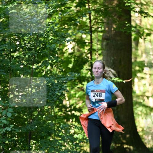 06.10.2024 - Bramfelder Halbmarathon 2024 Dr. Thomas Lammeyer http://msf.ph/oto/7337624 06.10.2024 10:22:21 Laufen 248, 83 meine-sportfotos.de