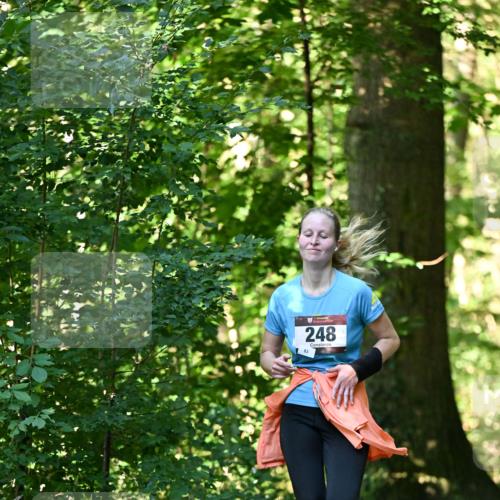06.10.2024 - Bramfelder Halbmarathon 2024 Dr. Thomas Lammeyer http://msf.ph/oto/7337625 06.10.2024 10:22:21 Laufen 248, 83 meine-sportfotos.de