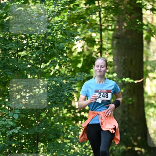 06.10.2024 - Bramfelder Halbmarathon 2024 Dr. Thomas Lammeyer http://msf.ph/oto/7337626 06.10.2024 10:22:21 Laufen 248, 83 meine-sportfotos.de